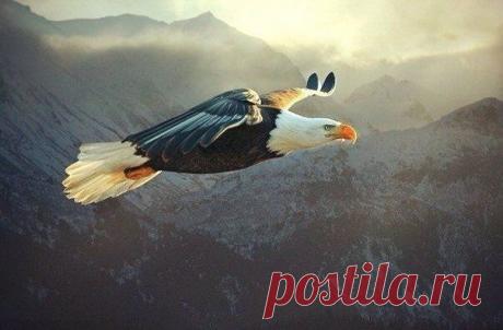 Для тех, кто мечтает о великом и не сомневается в своем мужестве, найдется место на вершине / Основы бизнеса