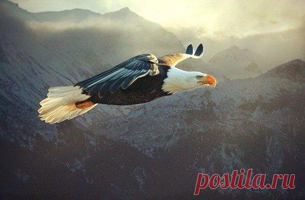 Для тех, кто мечтает о великом и не сомневается в своем мужестве, найдется место на вершине / Основы бизнеса