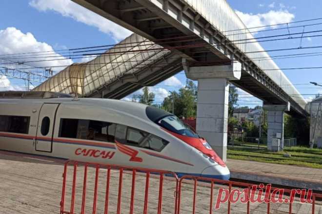 В Петербурге задержали зацепера, ехавшего между вагонами «Сапсана». 17-летнего нарушителя поместили в Центр временного содержания для несовершеннолетних правонарушителей.