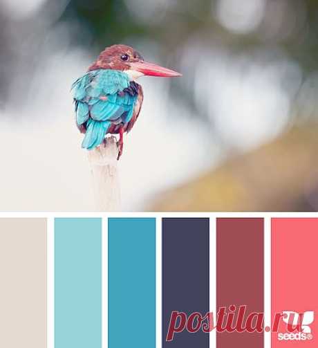 for all who ❤ color | feathered palette
