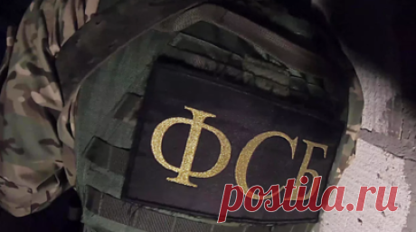 ФСБ не дала двум новосибирцам отправиться на Украину и вступить в ВСУ. Сотрудники органов безопасности в Новосибирской области предотвратили попытку государственной измены со стороны двух сельских жителей. 33-летний житель села Кыштовка и его 29-летний родственник из Новосибирской области планировали перейти на сторону Украины и участвовать в боевых действиях на стороне Вооружённых сил Украины (ВСУ). Читать далее