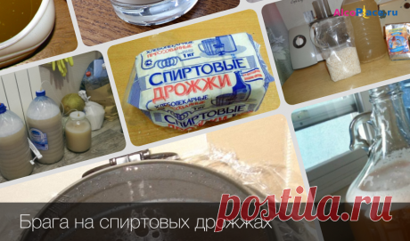 Как сделать брагу на спиртовых дрожжах своими руками Главные тонкости самостоятельного приготовления, а также самые вкусные и простые рецепты браги на спиртовых дрожжах в домашних условиях.