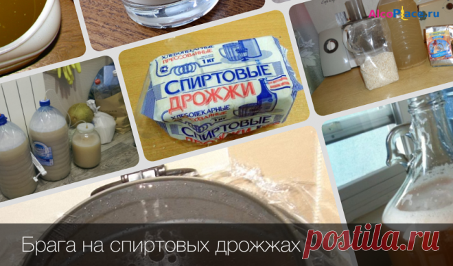 Как сделать брагу на спиртовых дрожжах своими руками Главные тонкости самостоятельного приготовления, а также самые вкусные и простые рецепты браги на спиртовых дрожжах в домашних условиях.