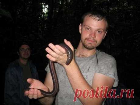 Самый большой дождевой червь нашелся в Первоуральске около поселка Березка. Его длина составляет 1 метр 4 см.