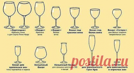 Галина ПАЕВСКАЯ
Израиль, Ашдод