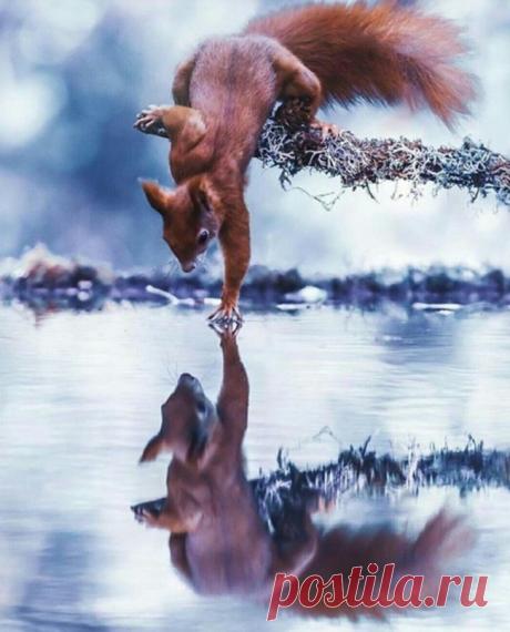 20 фотографий, на которых реальность переплюнула фотошоп 

Сколько бы красивых картинок ни создавалось в фотошопе, природа сделает шедевр за долю секунды без всякой коррекции и фильтров.
Мы собрали 20 завораживающих фотографий, с которыми не сравнится ни од…