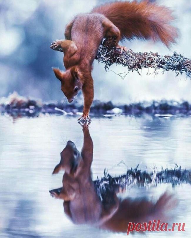 20 фотографий, на которых реальность переплюнула фотошоп