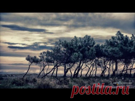 Как сделать &quot;круглую&quot; фотографию - Фотошоп+видео-анимация - Группы Мой Мир