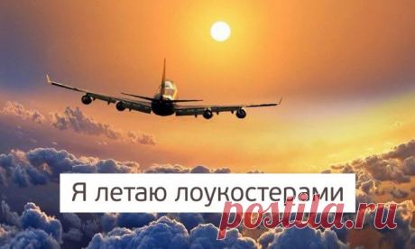 55 авиакомпаний, с которыми можно летать за копейки