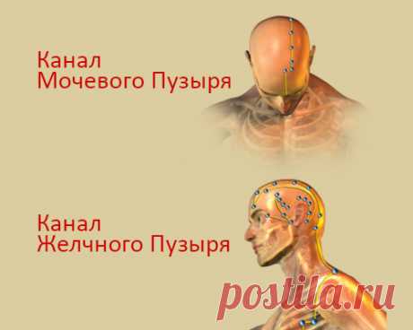 NB - Секреты Великолепного Самочувствия Доктора Чен Кая 1