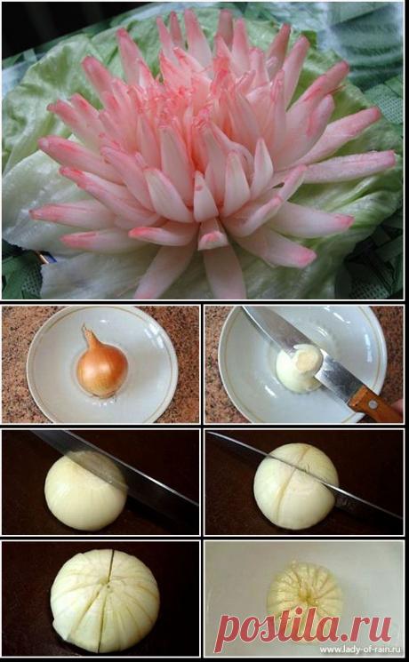 Сборка мастер-классов по украшению блюд