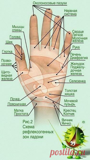 ТАЙНАЯ СИЛА МИЗИНЦА