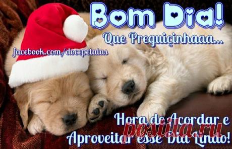 Bom Dia Natal - Imagens, Mensagens e Frases para WhatsApp (Página 2)