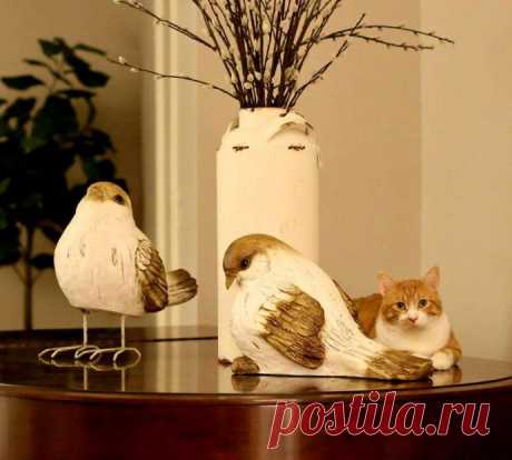 Кот с рулоном от скотча на шее… Что может быть печальнее? К счастью, жизнь Валентина сейчас совсем другая