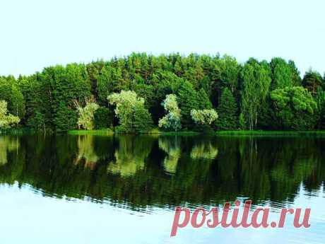 ФОТОМАСТЕРСКАЯ ПРИРОДЫ