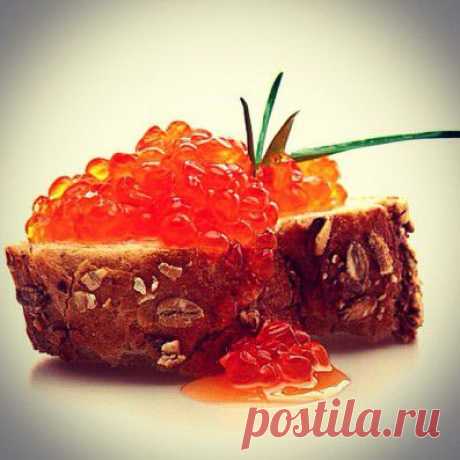 Статьи - Красная икра: белок не чета мясному – СТОПЖИР