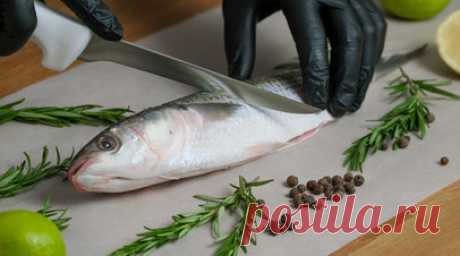 Специалист Чегаева рассказала о полезных для сердца продуктах. Советник отдела лечебно-профилактической помощи и лицензирования Минздрава республики Марий Эл Наталья Чегаева рассказала о полезных для сердца продуктах. Читать далее
