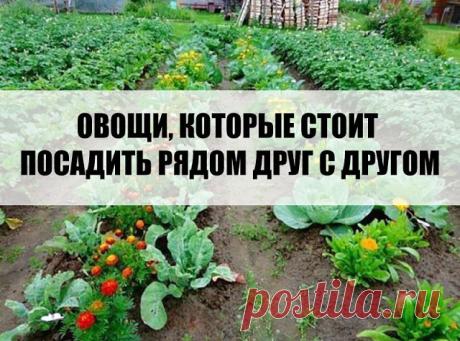 (99) Одноклассники