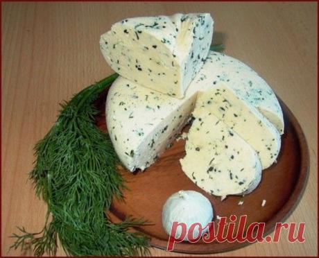 14 Подборка вкусных домашних сыров!