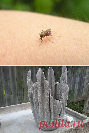 Комары достали и вазон для дачи. - Садоводка