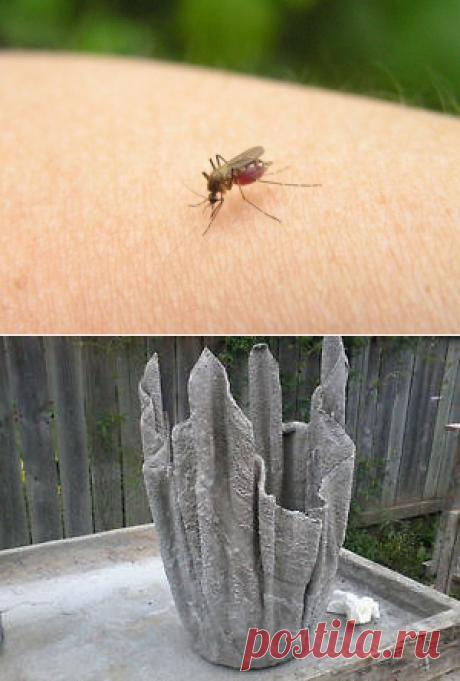 Комары достали и вазон для дачи. - Садоводка