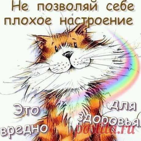 Если вы слишком много работаете - заведите кота.