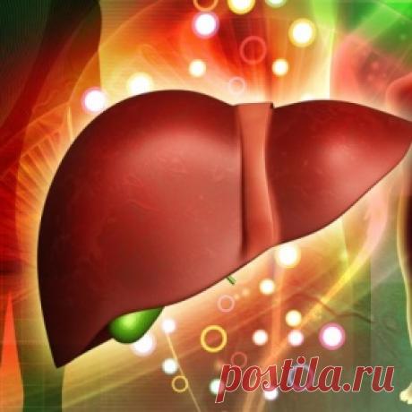 Лечение печени человека народными средствами