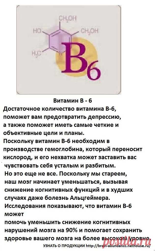 Основные ингредиенты Продукта Брейн Фул Плюс:
 Витамин В-6
Достаточное количество витамина В-6, поможет вам предотвратить депрессию, а также поможет иметь самые четкие и объективные цели и планы. Витамин В-6 может помочь уменьшить снижение когнитивных нарушений мозга на 90% и помогает сохранить здоровье вашего мозга на более высоком уровне.