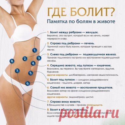 Что предпринять при болях в животе? 
 
Чтобы при каждом случае не хвататься за телефон и звонить в скорую или 
наоборот — закидываться антибиотиками и игнорировать боль, важно 
понимать, что влечет за собой болевое ощущение. 
 
Сегодня мы расскажем, что делать, если болит живот — разберем симптомы, а 
также те случаи, когда нельзя оттягивать поход к врачу. Дадим рекомендации, 
как предотвратить боль. 
 
Что делать, если болит живот? Симптомы 
 
Причины болей в животе множество: от обычного перее