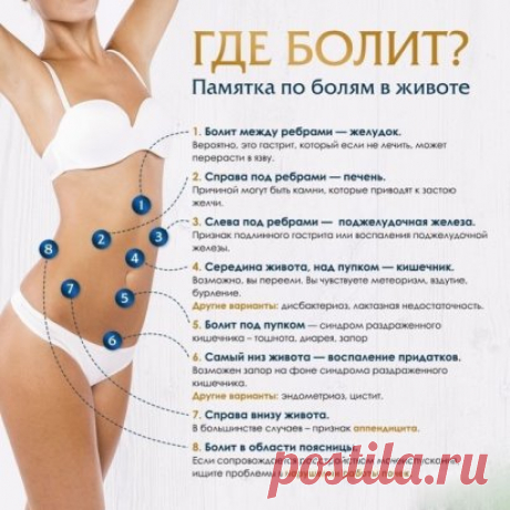 Что предпринять при болях в животе? 
 
Чтобы при каждом случае не хвататься за телефон и звонить в скорую или 
наоборот — закидываться антибиотиками и игнорировать боль, важно 
понимать, что влечет за собой болевое ощущение. 
 
Сегодня мы расскажем, что делать, если болит живот — разберем симптомы, а 
также те случаи, когда нельзя оттягивать поход к врачу. Дадим рекомендации, 
как предотвратить боль. 
 
Что делать, если болит живот? Симптомы 
 
Причины болей в животе множество: от обычного перее