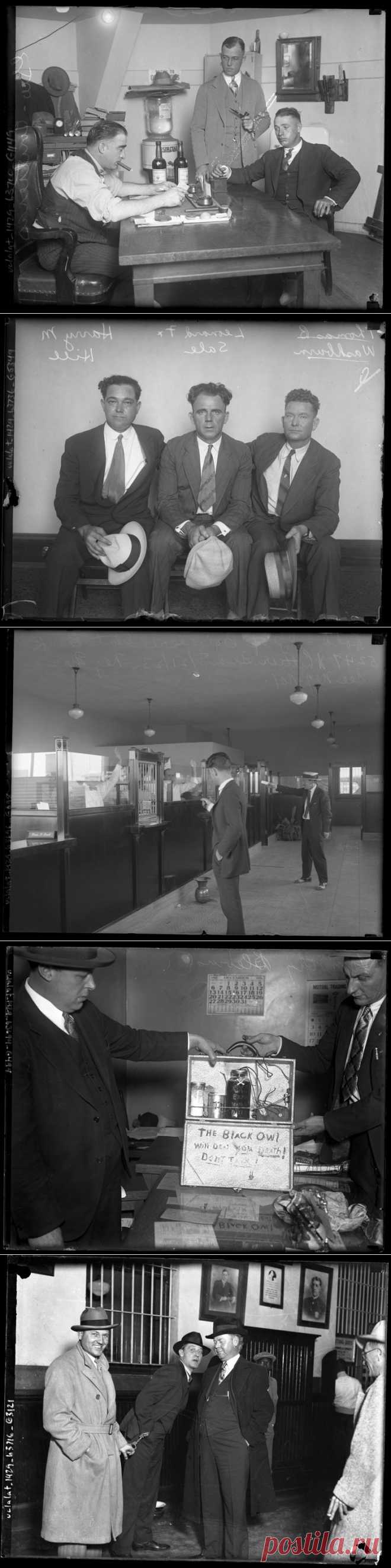 Криминальный Лос-Анджелес в 20-30-е годы / Surfingbird - все, что интересно тебе