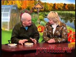 Чекалкина Елена
