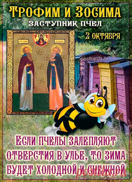 Желаю, чтобы оптимистичное и задорное настроение было спутником сегодняшнего дня! Улыбайся чаще, смейся больше, радуйся хорошей погоде и прекрасному дню. Открытки на праздник Трофима и Зосимы.
