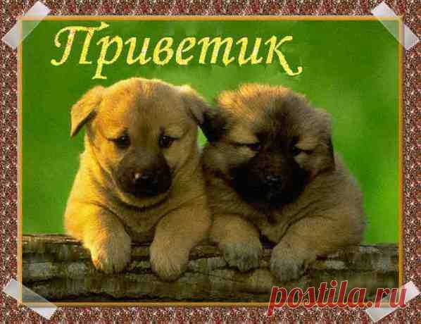 Создать Музыкальную открытку — это просто! Добро пожаловать в продолжение курса! Научимся , как самому создать музыкальную открытку из тех материалов, которые подобрали в первой части. Работаем на компьютере в программе и в следующей части переведем ее онлайн, она станет виртуальной. Через  час у вас будет  ваш собственный уникальный шедевр!  Может через  2 часа, но он обязательно появится! И я уверена,...