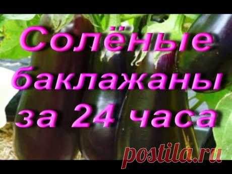 ГОТОВИМ солёные баклажаны за 24 часа.
