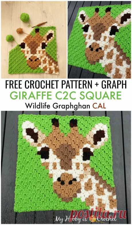 giraffe+c2c+square+free+pattern.jpg (730×1241)