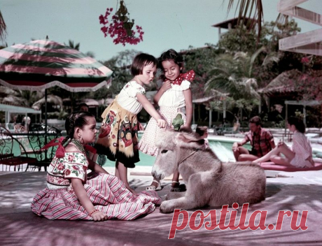 Мексиканская Ривьера 1950-х: как выглядел знаменитый курорт Акапулько, прежче чем стал полем битвы наркодиллеров | Чёрт побери