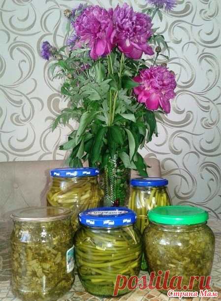 Консервируем стрелки чеснока - Домашнее консервирование и заготовки - Страна Мам