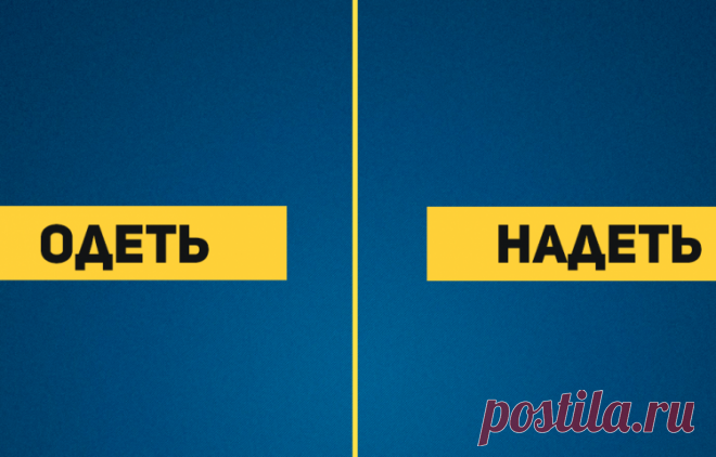 10 пар слов, которые никогда не перепутают грамотные люди