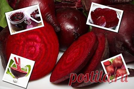 Свекла Полезные свойства | Рецепты народной медицины