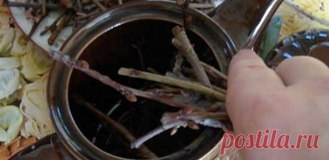 Трав’яний чай з гілочками, грушами-дичками і чорнобривцями покращує імунітет, виводить солі і лікує нирки. Рецепт і поради від фітотерапевта - Такпросто