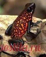 Fantástico Natureza,linda!!!