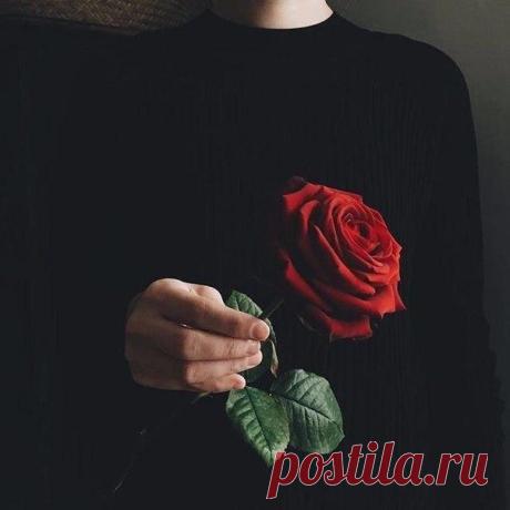 20 превосходных хитростей, которые помогут Вам преуспеть в жизни 20 превосходных хитростей, которые помогут Вам преуспеть в жизни
Мы живем в обществе, и каждый из нас должен научиться понимать подсознательное отношение окружающих даже больше, чем то, что они нам го…