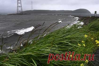 В российском регионе детям разрешили три дня не ходить в школу из-за тайфуна. Власти Владивостока разрешили детям три дня не ходить в школу из-за сильного дождя и ветра, которые принесет тайфун «Хинамнор». Пропуск занятий с 5 по 7 сентября не будет считаться прогулом, это касается как детских садов, так и всех классов общеобразовательных учреждений.