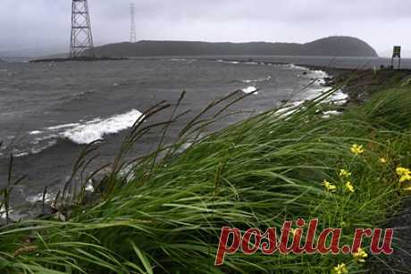 В российском регионе детям разрешили три дня не ходить в школу из-за тайфуна. Власти Владивостока разрешили детям три дня не ходить в школу из-за сильного дождя и ветра, которые принесет тайфун «Хинамнор». Пропуск занятий с 5 по 7 сентября не будет считаться прогулом, это касается как детских садов, так и всех классов общеобразовательных учреждений.