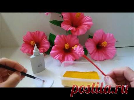 HIBISCO (no Frizador da Rosa Serenata)