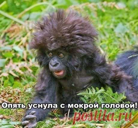 Давайте улыбаться вместе!