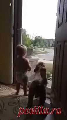 Одноклассники