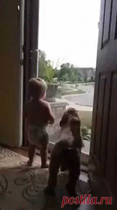 Одноклассники