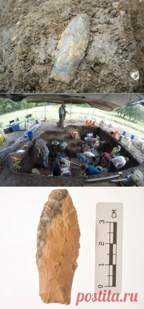 Наконечники копий, обнаруженные в Техасе, являются старейшим оружием, найденным в Северной Америке | Fraid | Яндекс Дзен